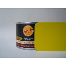Peinture à filet Jaune Primevere pot de 100ml