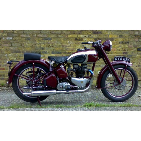 TRIUMPH- Bordeaux SPEED...