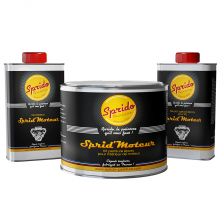 Kit peinture SPRID'MOTEUR