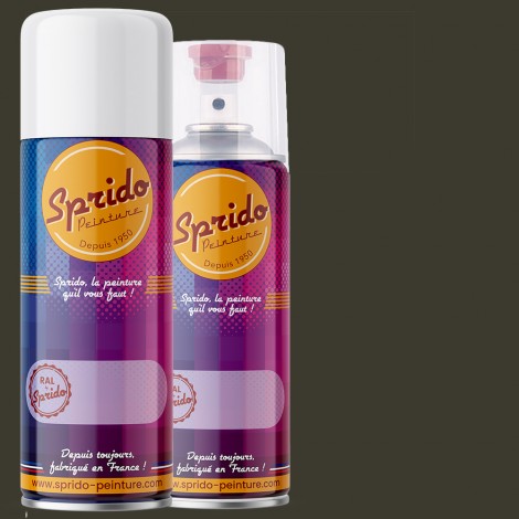 Peinture RAL by Sprido 6006 Olive gris en aérosol 400 ml