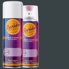 Peinture RAL by Sprido 7026 Gris granit en aérosol 400 ml