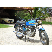 Ducati 239 MARKIII Or Métal 