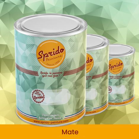 Peinture RAL Design by Sprido mate. Pot