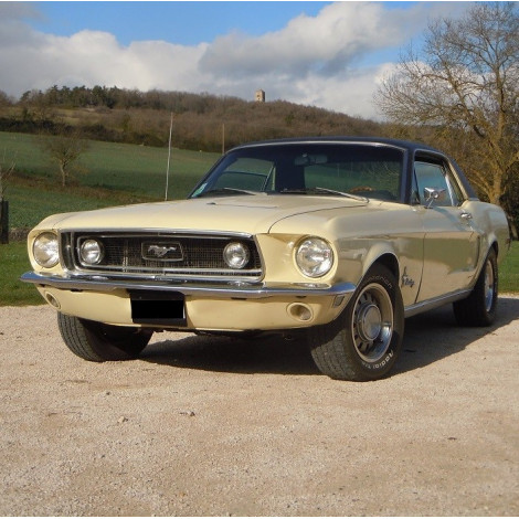 Ford Mustang Meadowlark yellow 1968-1969 code W