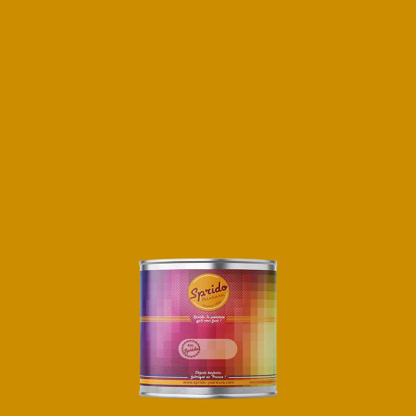 Peinture RAL by Sprido 1005 Jaune miel en pot retouche 100 ml