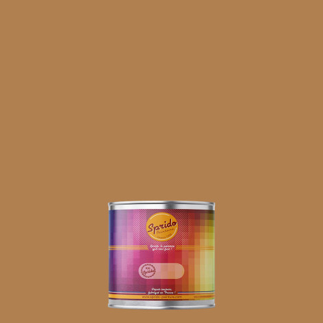 Peinture RAL by Sprido 1011 Beige brun en pot retouche 100 ml