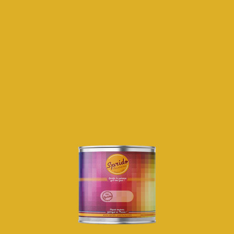 Peinture RAL by Sprido 1012 Jaune citron en pot retouche 100 ml