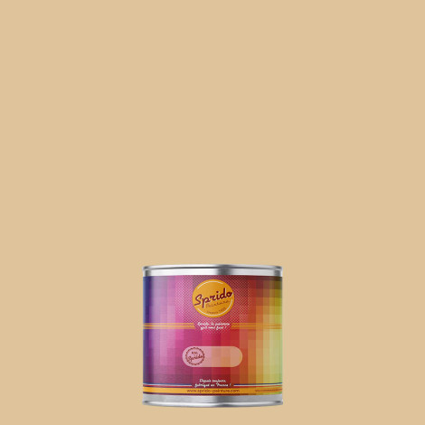 Peinture RAL by Sprido 1014 Ivoire en pot retouche 100 ml