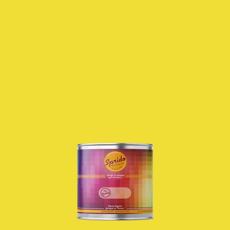 Peinture RAL by Sprido 1016 Jaune soufre en pot retouche 100 ml