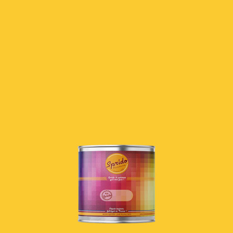 Peinture RAL by Sprido 1018 Jaune zinc en pot retouche 100 ml
