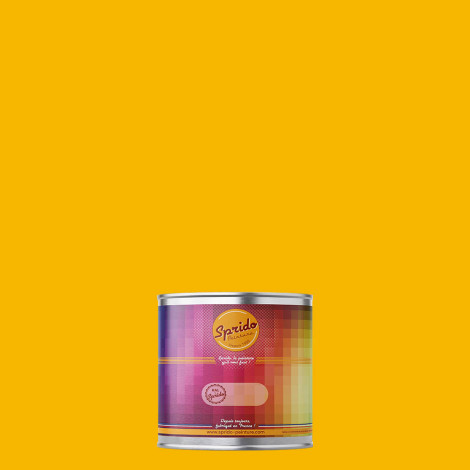 Peinture RAL by Sprido 1021 Jaune colza en pot retouche 100 ml