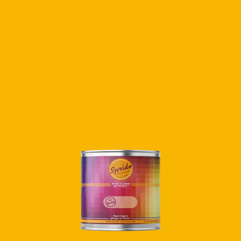 Peinture RAL by Sprido 1023 Jaune signalisation en pot retouche 100 ml