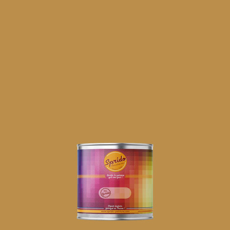 Peinture RAL by Sprido 1024 Jaune ocre en pot retouche 100 ml