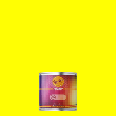 Peinture RAL by Sprido 1026 Jaune brillant en pot retouche 100 ml