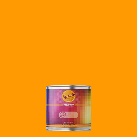 Peinture RAL by Sprido 1028 Jaune melon en pot retouche 100 ml