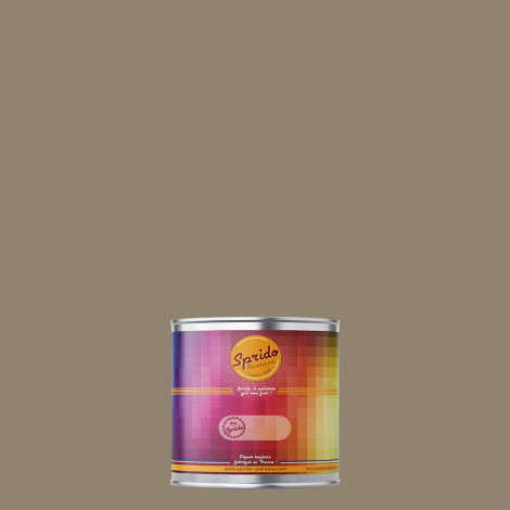 Peinture RAL by Sprido 1035 Beige métal en pot retouche 100 ml