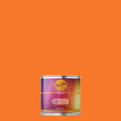 Peinture RAL by Sprido 2003 Orangé pastel en pot retouche 100 ml