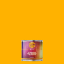 Peinture RAL by Sprido 2007 Orangé clair brillant en pot retouche 100 ml