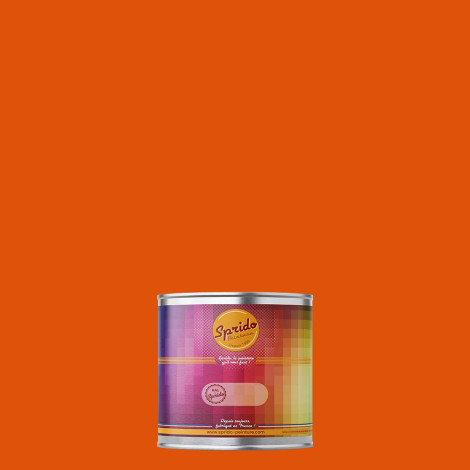 Peinture RAL by Sprido 2009 Orangé signalisation en pot retouche 100 ml