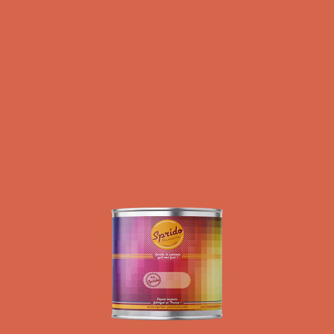 Peinture RAL by Sprido 2012 Orangé saumon en pot retouche 100 ml