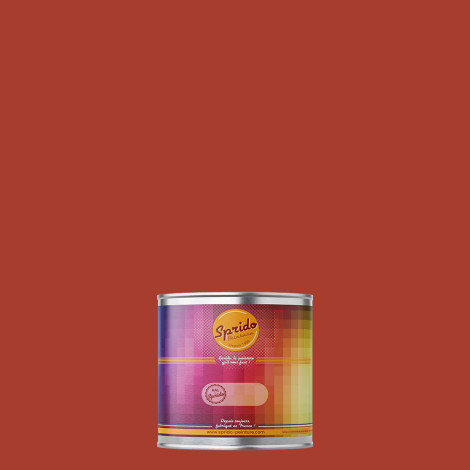 Peinture RAL by Sprido 3016 Rouge corail en pot retouche 100 ml