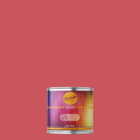 Peinture RAL by Sprido 3017 Rosé en pot retouche 100 ml