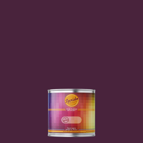 Peinture RAL by Sprido 4007 Violet pourpre en pot retouche 100 ml