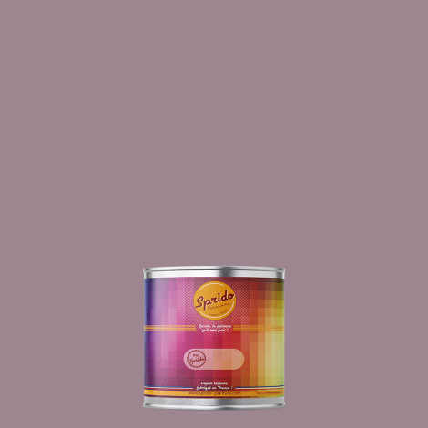 Peinture RAL by Sprido 4009 Violet pastel en pot retouche 100 ml