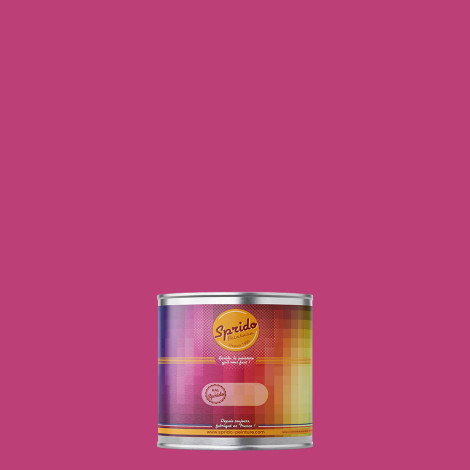 Peinture RAL by Sprido 4010 Telemagenta en pot retouche 100 ml