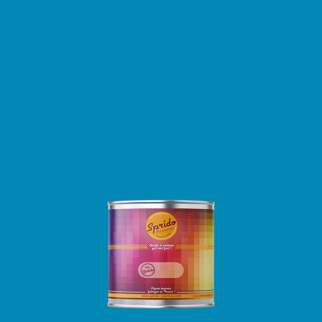 Peinture RAL by Sprido 5012 Bleu clair en pot retouche 100 ml