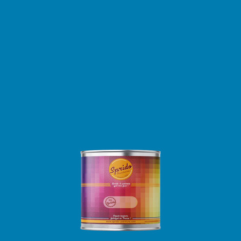 Peinture RAL by Sprido 5015 Bleu ciel en pot retouche 100 ml