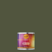 Peinture RAL by Sprido 6003 Vert olive en pot retouche 100 ml