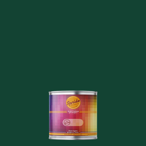 Peinture RAL by Sprido 6005 Vert mousse en pot retouche 100 ml