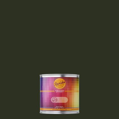 Peinture RAL by Sprido 6007 Vert bouteille en pot retouche 100 ml