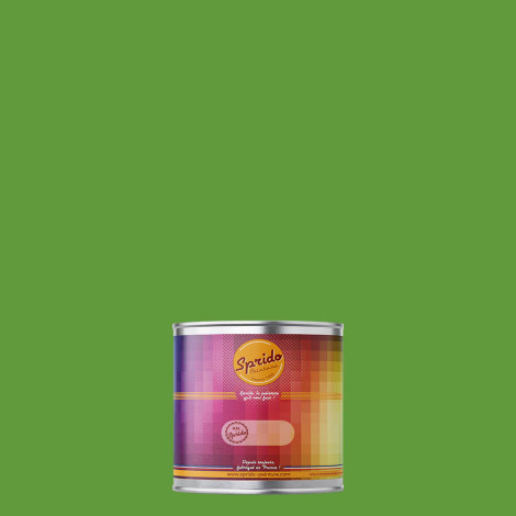 Peinture RAL by Sprido 6018 Vert jaune en pot retouche 100 ml