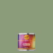 Peinture RAL by Sprido 6021 Vert pâle en pot retouche 100 ml