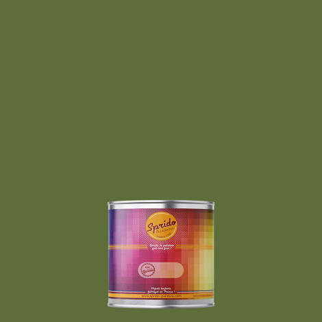 Peinture RAL by Sprido 6025 Vert fougère en pot retouche 100 ml