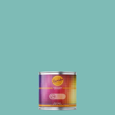 Peinture RAL by Sprido 6027 Vert clair en pot retouche 100 ml