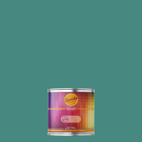 Peinture RAL by Sprido 6033 Turquoise menthe en pot retouche 100 ml