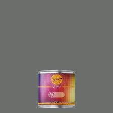 Peinture RAL by Sprido 7005 Gris souris en pot retouche 100 ml