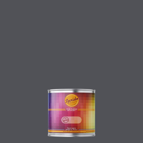 Peinture RAL by Sprido 7015 Gris ardoise en pot retouche 100 ml