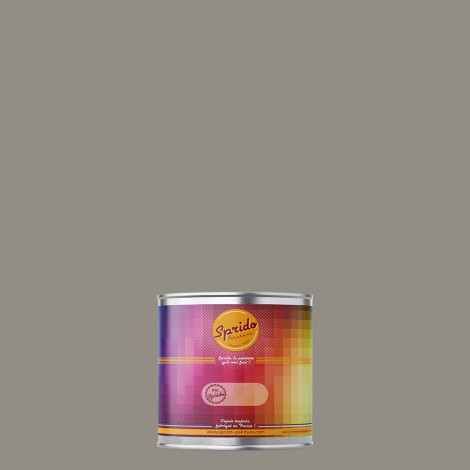 Peinture RAL by Sprido 7030 Gris pierre en pot retouche 100 ml