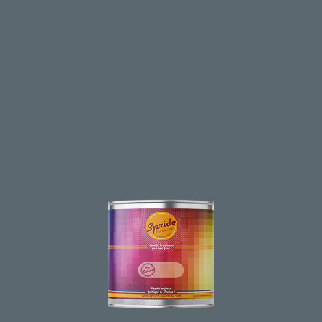 Peinture RAL by Sprido 7031 Gris bleu en pot retouche 100 ml