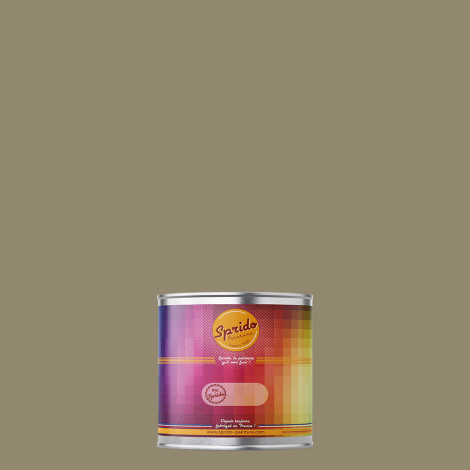 Peinture RAL by Sprido 7034 Gris jaune en pot retouche 100 ml