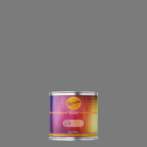 Peinture RAL by Sprido 7037 Gris poussière en pot retouche 100 ml