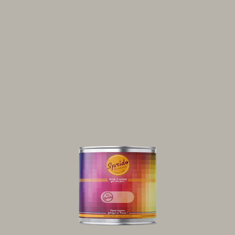 Peinture RAL by Sprido 7044 Gris soie en pot retouche 100 ml