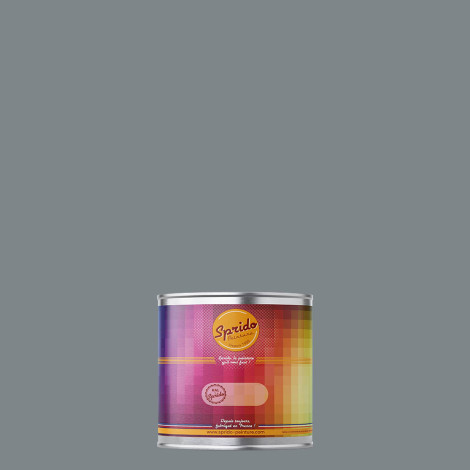 Peinture RAL by Sprido 7046 Telegris 2 en pot retouche 100 ml