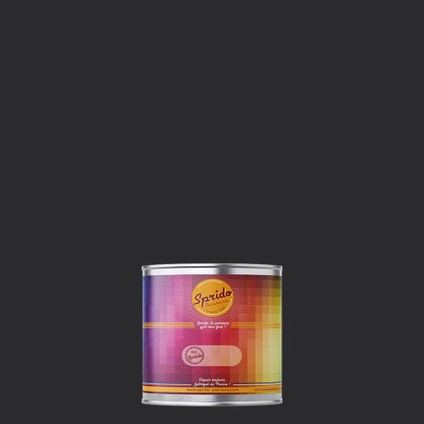 Peinture RAL by Sprido 9004 Noir de sécurité en pot retouche 100 ml