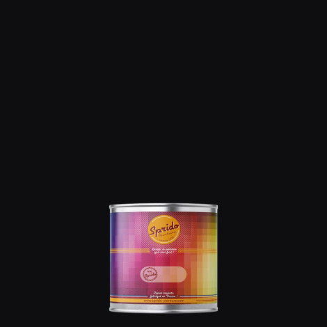 Peinture RAL by Sprido 9005 Noir foncé en pot retouche 100 ml