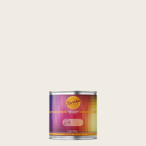 Peinture RAL by Sprido 9010 Blanc pur en pot retouche 100 ml
